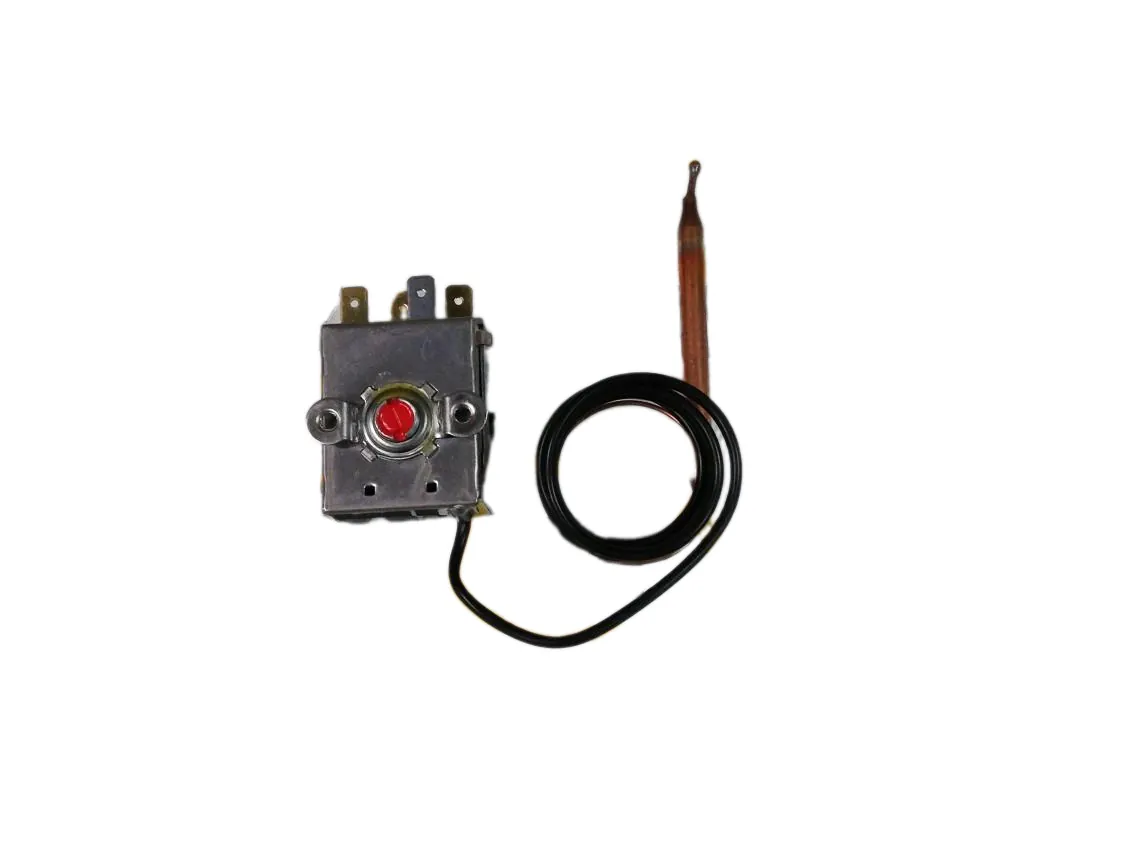 Termostato fisso 60º Domusa capillare 1m. BT DUO 150 - 250 - Fagor, codice ricambio CELC000017-C