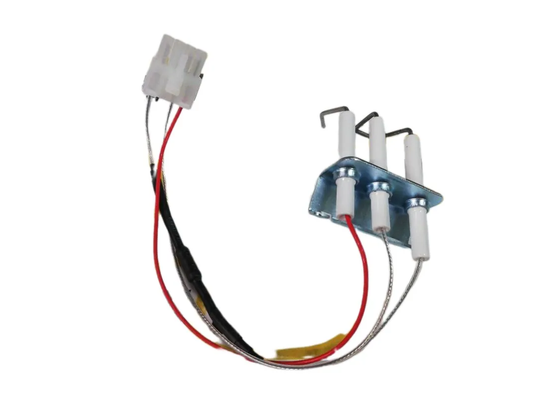 Elektrode Fagor FEP11DN - FEG11din-b Geiser (samenstel ontsteking - ionisatie), onderdeelnummer 810006484