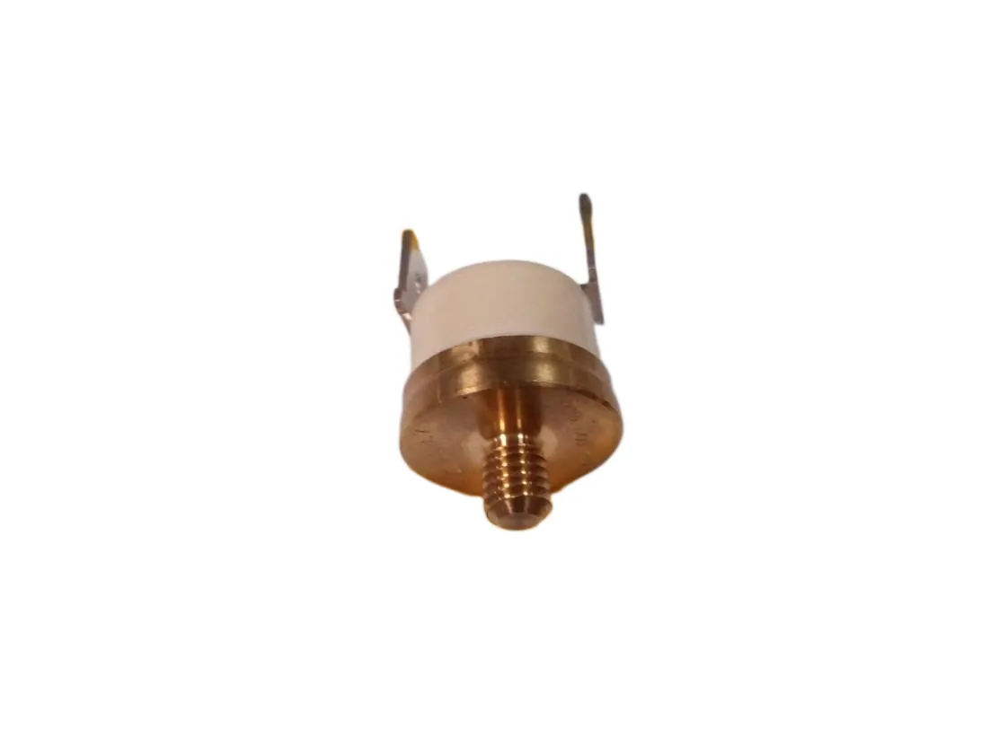 Klixon-thermostaat 100º verticaal met schroefdraad M5 Normaal Gesloten Compatibel met Chappée 17007024, onderdeelnummer 401071