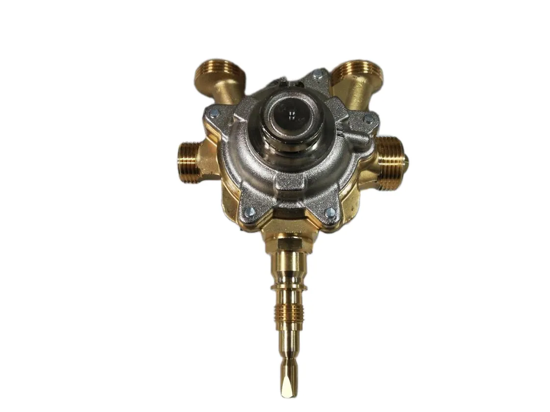 Wassergehäuse Vaillant Mag 19/2 XI - Mag 275/12 Xip, Teilenummer 011272