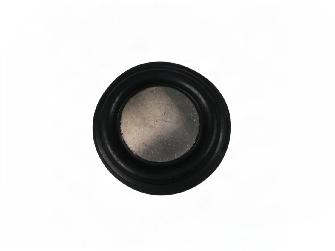 Membrana Saunier Duval Thelia 30/30E SD56510 - 05651000 - Unical 95000090 - Wiesberg, referência 2695000090
