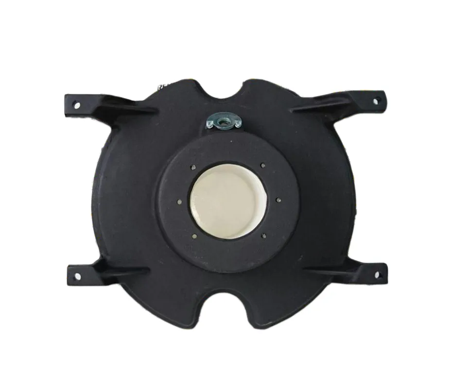 Tür Baxi Roca GO, Teilenummer 006138989