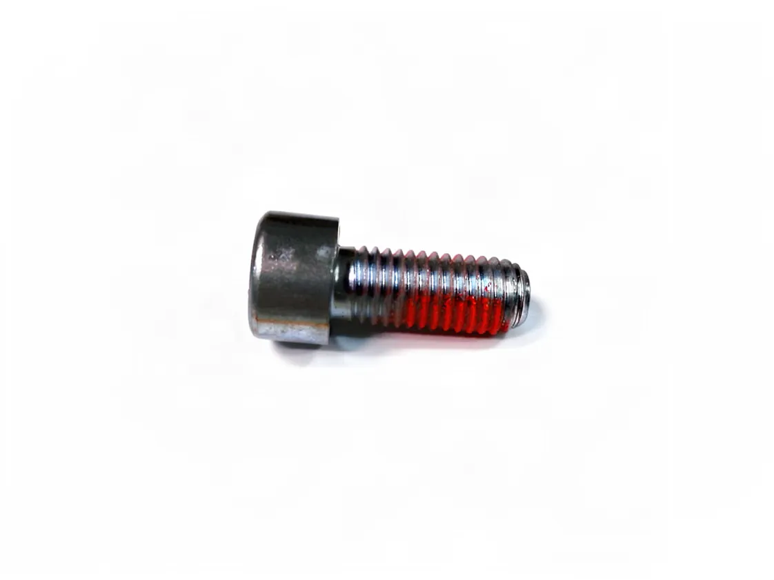 Screw Intergas M08x20mm, part number 305107