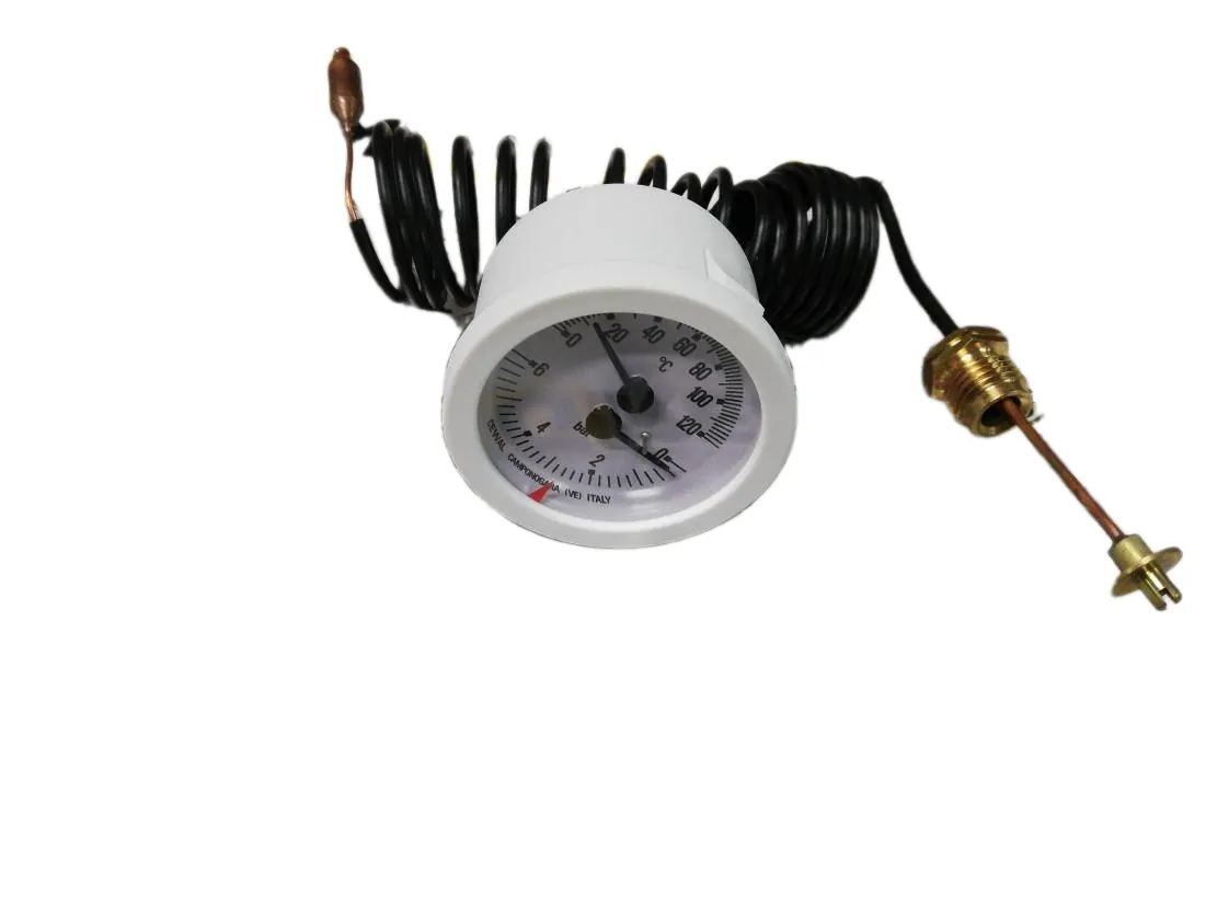Termomanómetro Domusa (Ø52-0/6b-0/120º-1000mm-1/4), referência CELC000002