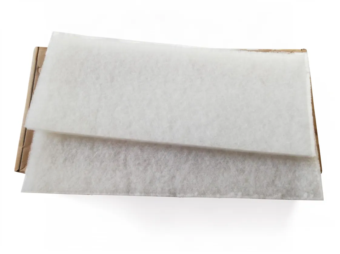 Filtro Wolf CWL 2-400 (Kit 2 uds), referencia 1669551