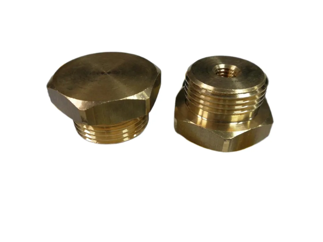 Tampão ânodo de magnésio 3/4"M Immergas Zeus, referência 1.5361