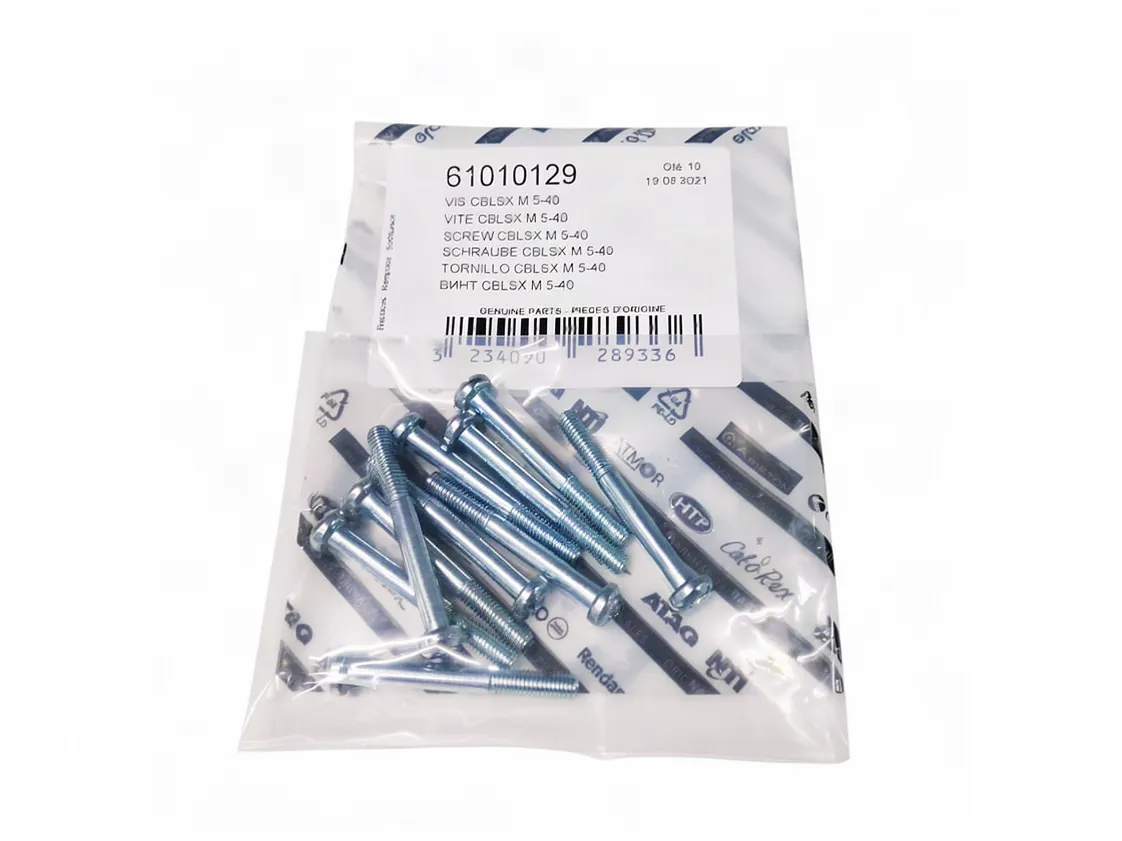 Tornillo Chaffoteaux CBLSX M05x40mm (kit 10uds), referencia 61010129