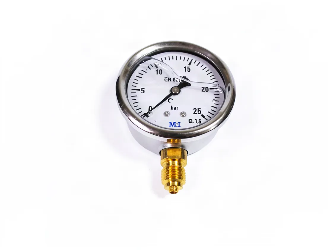 Glyzerin-Manometer 0-025 bar Ø63mm 1/4M vertikal, Teilenummer FW-020575