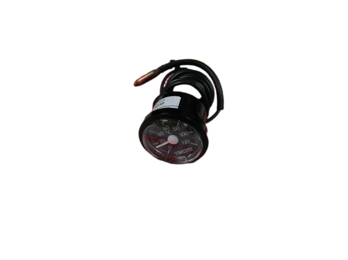 Termometro Immergas (Ø36-0/120º-1000mm) nero (Discontinuato dal produttore), codice ricambio 1.5404