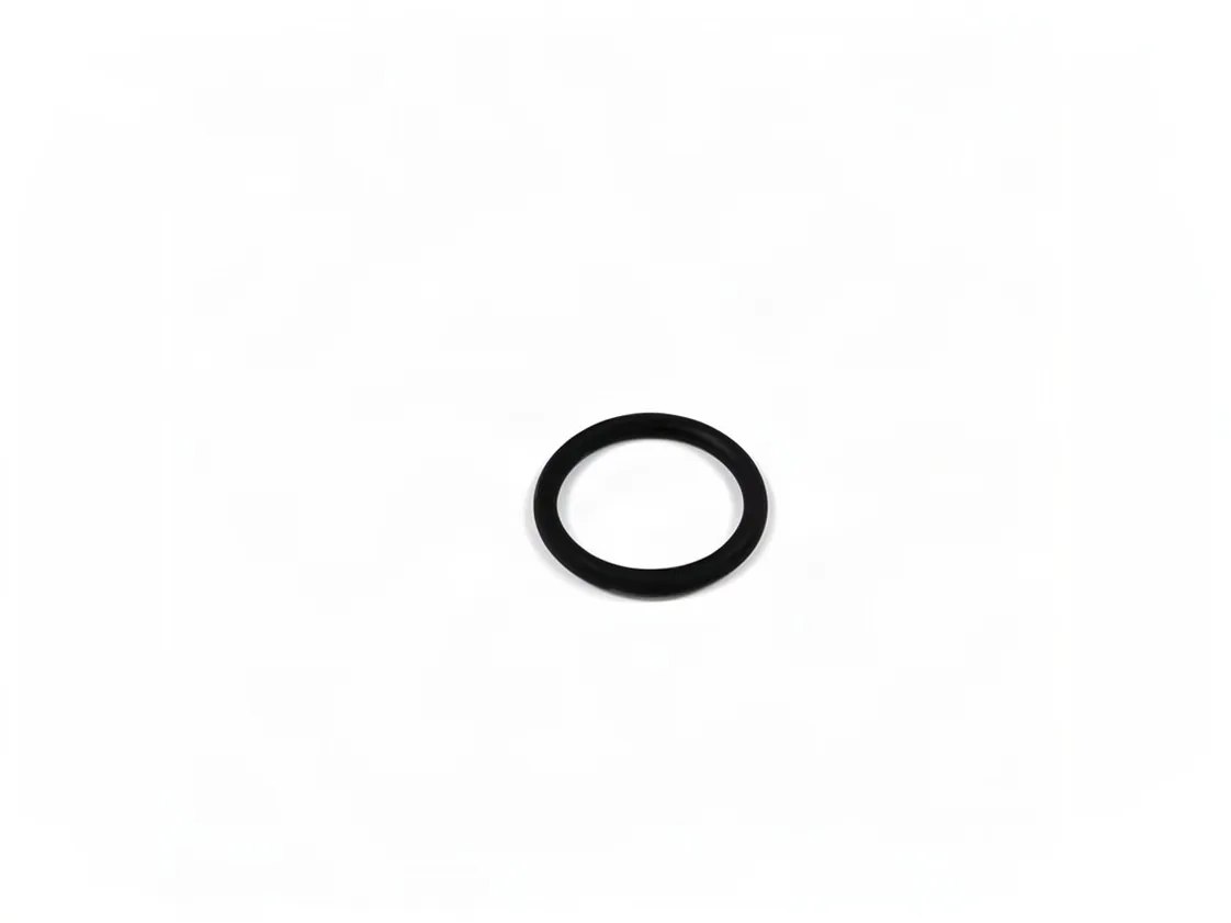 O-ring 20.69x2.62mm Immergas, referência 1.015726