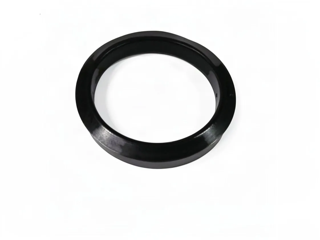 Guarnizione flangia scaldabagno elettrico Ø.int.080, Ø.ext.100, codice ricambio 807420
