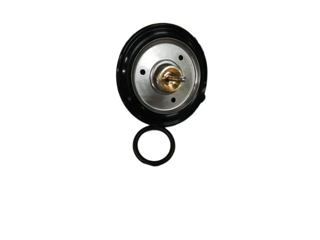 Membrana Giannoni Compatible con CFOV000038 - 1.016225 - 573603 - 0020106346 - 403000011 - 6102805A - V2995 Negra, referencia YH-013440