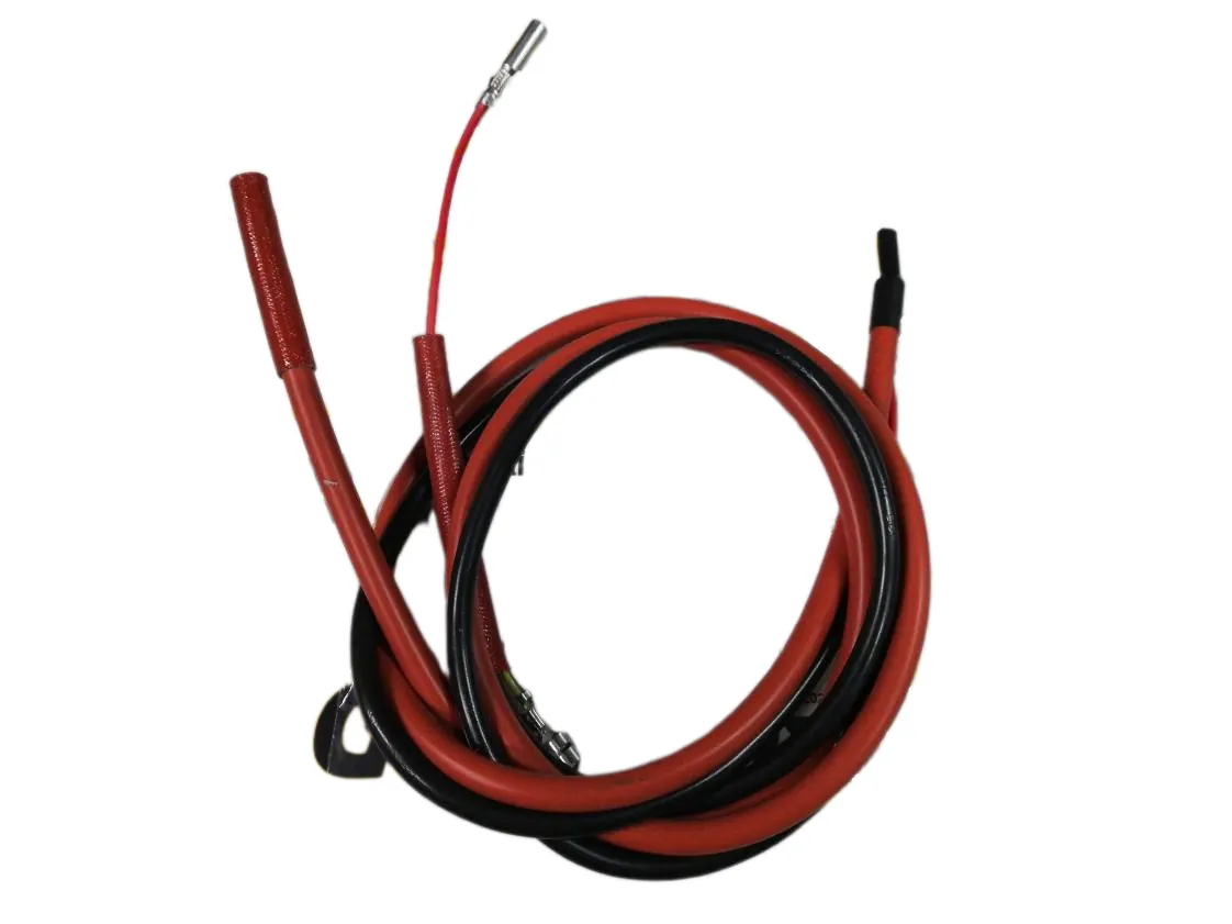 Câble Ferroli Pegasus électrode, référence I39807040