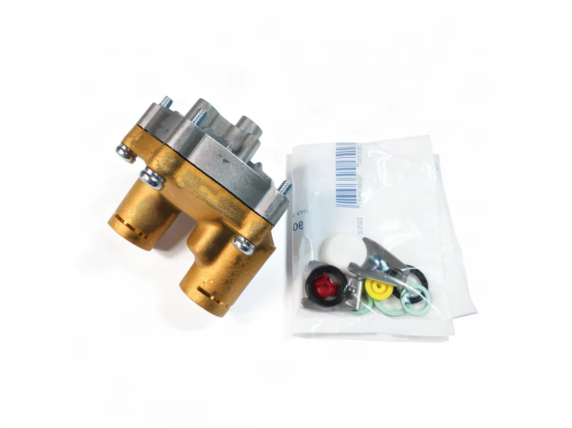 Cuerpo agua Saunier Duval Themis - Thema - Thelia (compatible con 20247009 - 05239800 - 10600), referencia 05239800-C