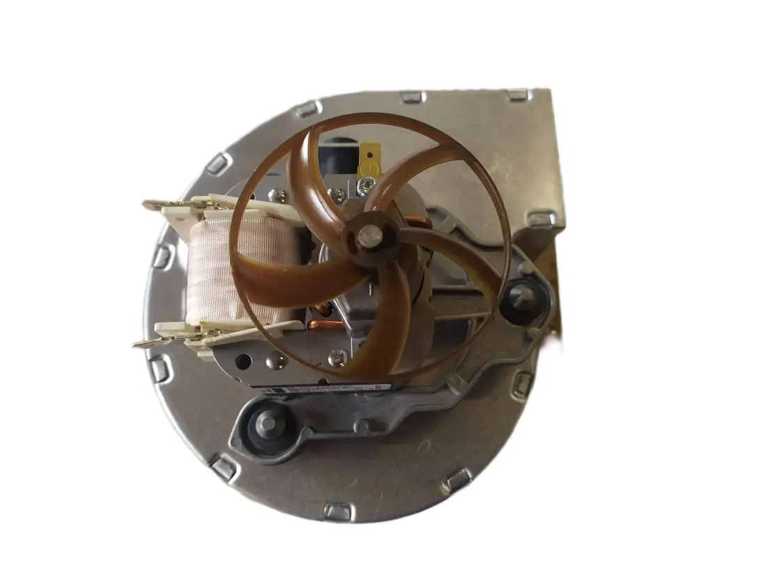 Fan Ferroli Fluss 20, part number I39800440