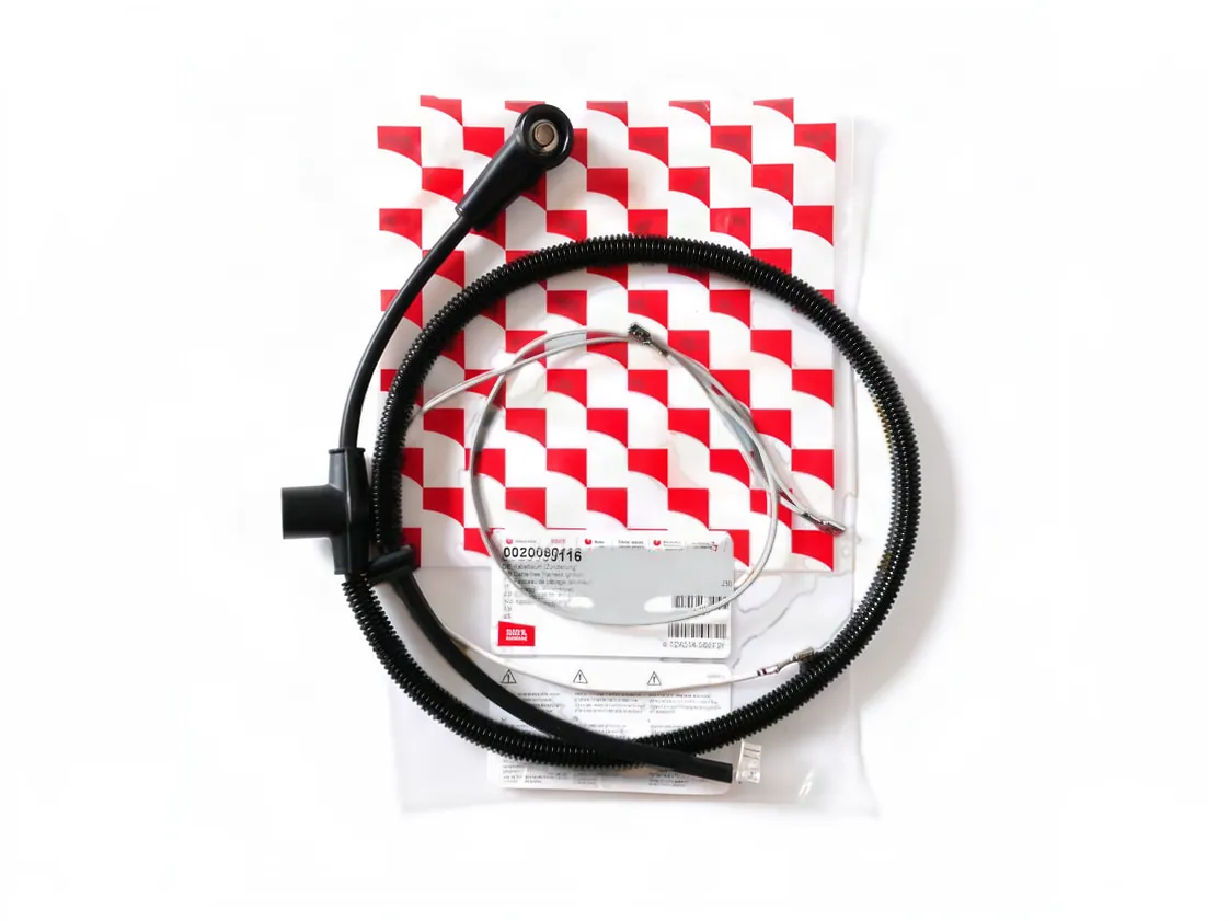 Cable Saunier Duval Thermosystem Condens electrodos, referencia 0020080116