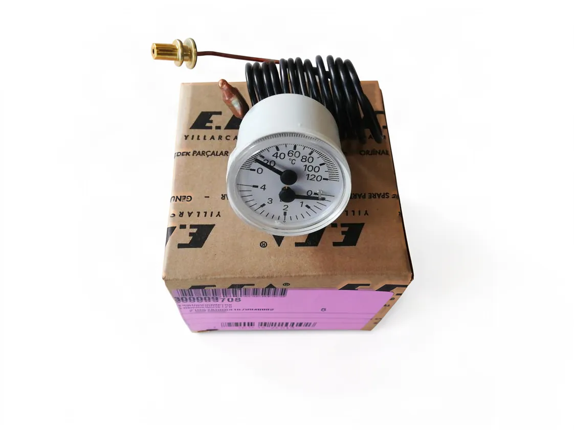 Manometro Diertich WHE 2-24 FF, codice ricambio 300009708