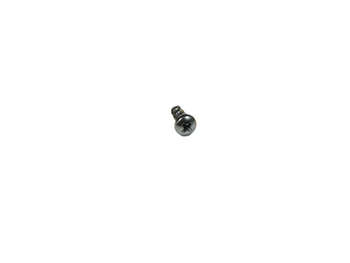 Screw Immergas 03x10mm, part number 1.035248