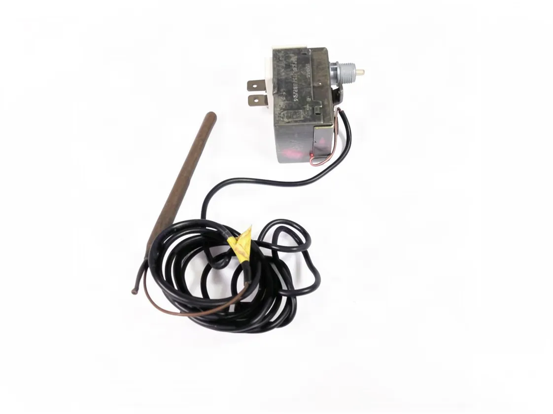 Temperaturbegrenzer 100º Immergas mit 2 Kontakten, Teilenummer 1.5318