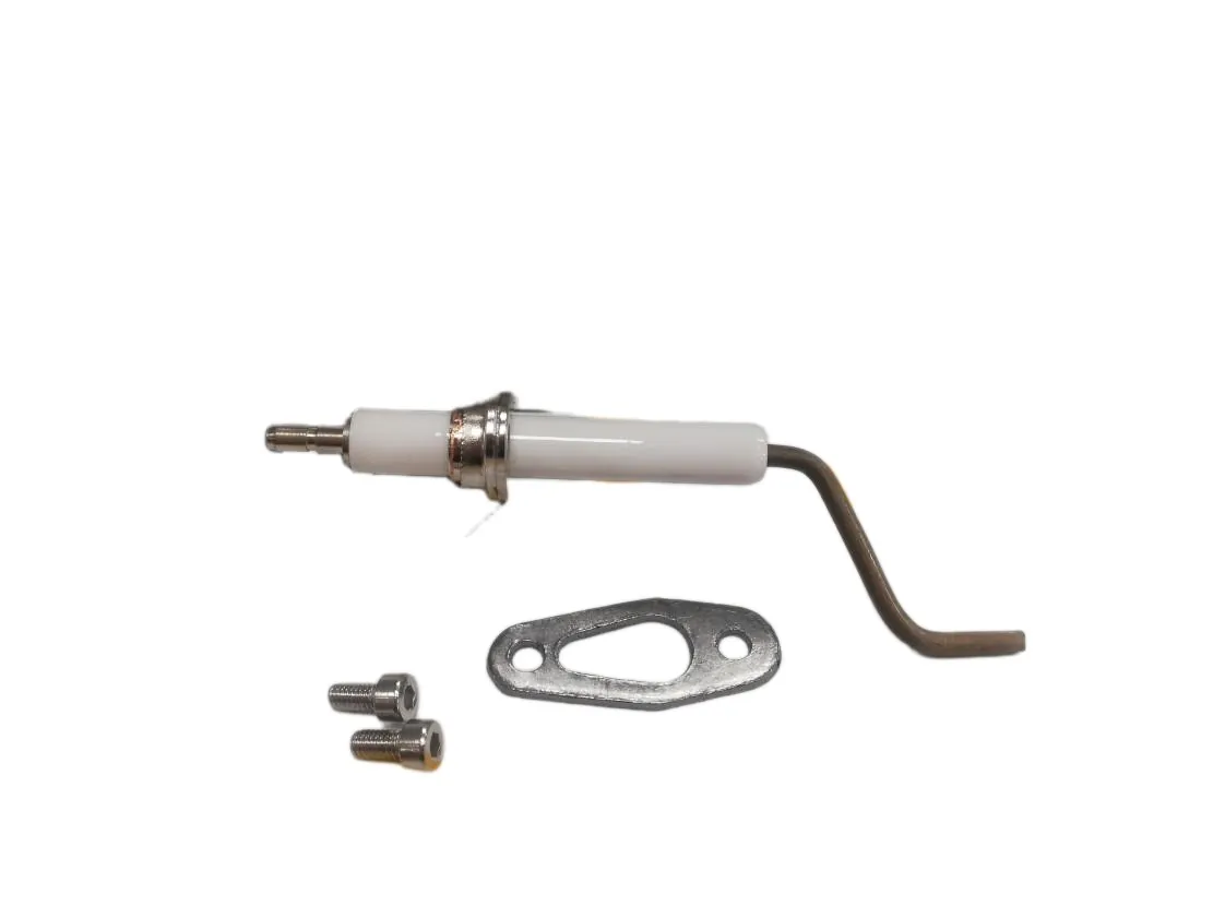 Électrode Beretta Mynute X 25 Ionisation, référence 20135947