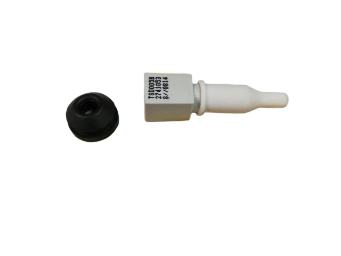 Sonda NTC Wolf TGB20 - TGB40/60, referencia 274105399