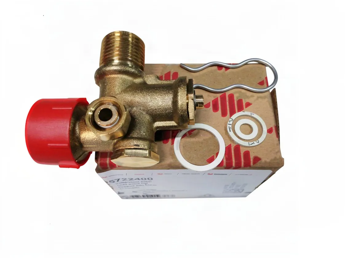 robinet Saunier Duval entrée eau froide, référence 05722400