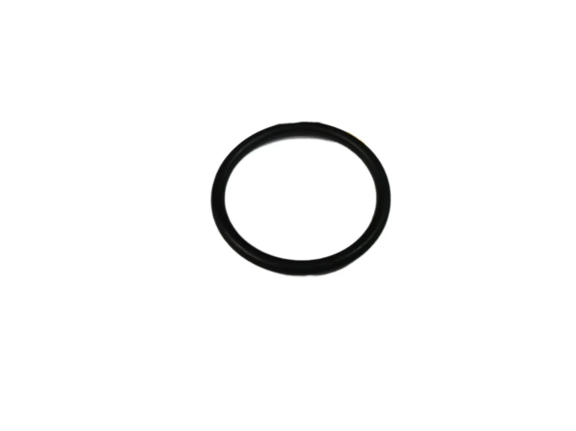 O-Ring 28.42x2.62mm Immergas, Teilenummer 1.5409