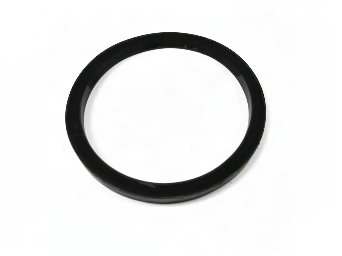 Guarnizione flangia scaldabagno elettrico Øe 120mm x Øi 105mm, codice ricambio 807425