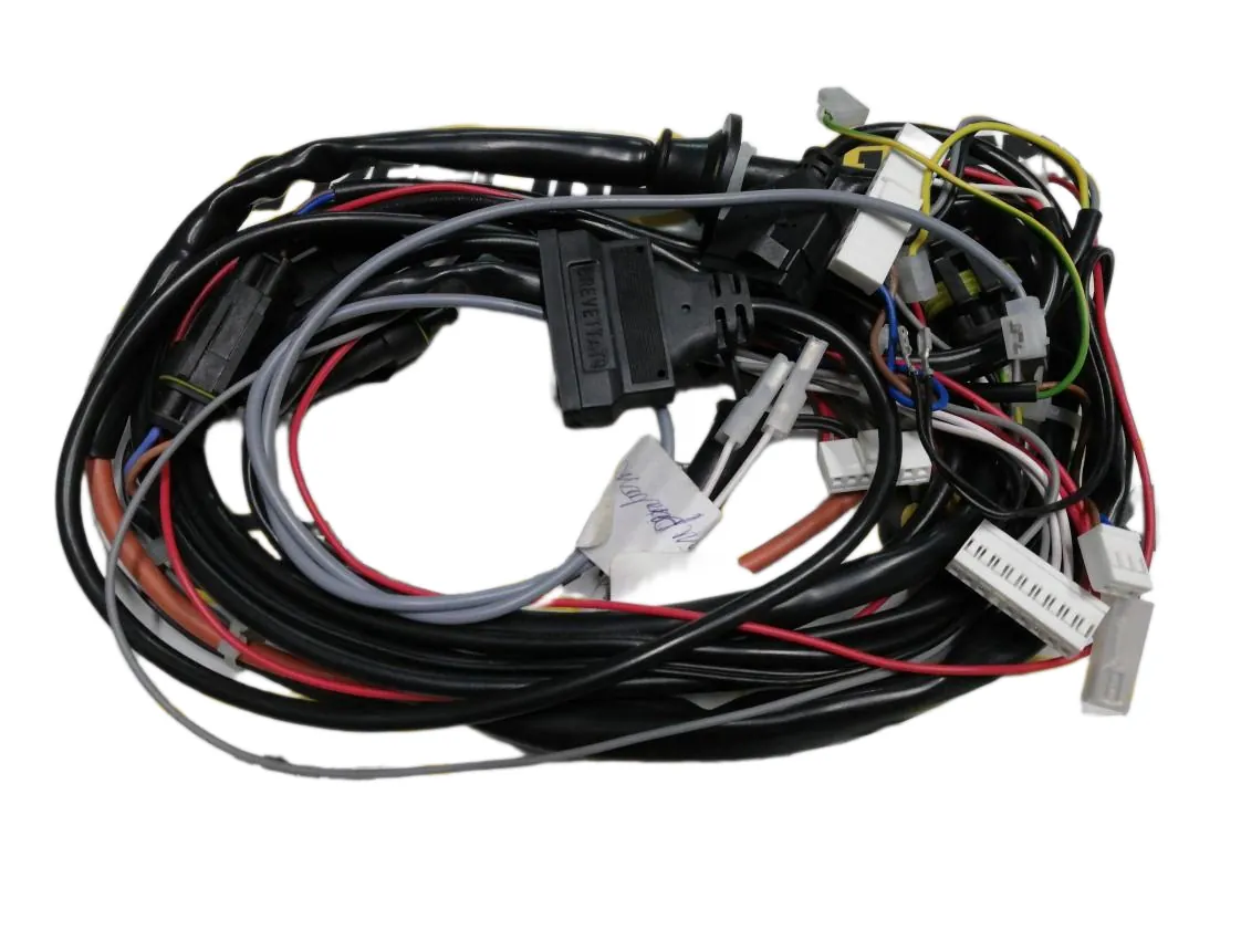 Cableado Immergas Eolo Eco 24V, referencia 3.016908