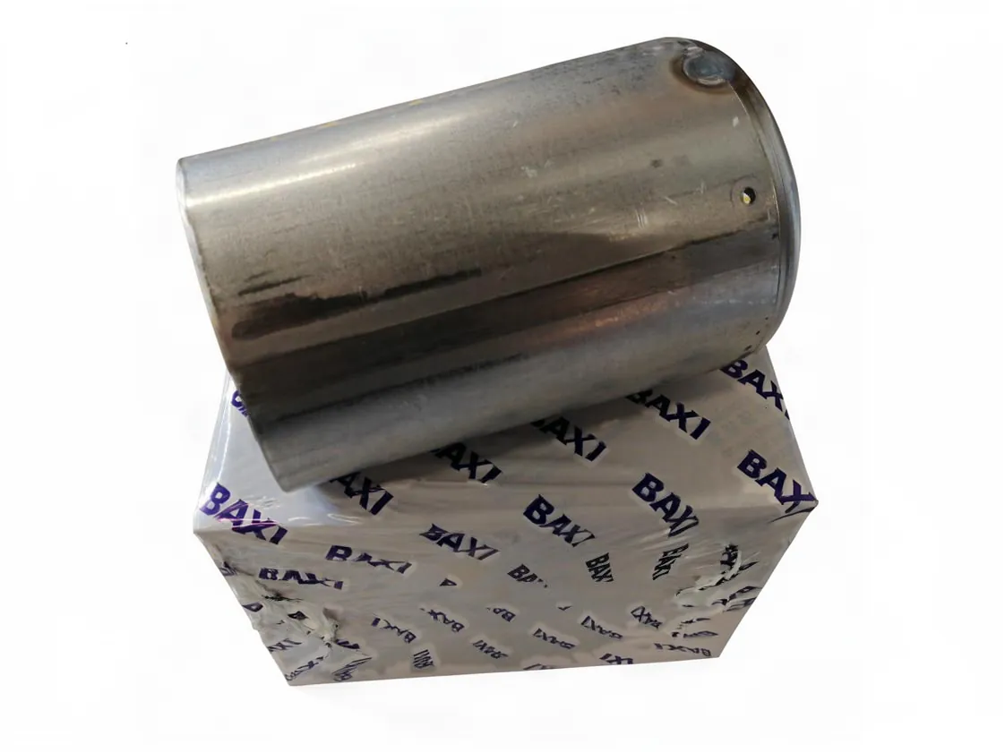 Cañon Baxi Roca Crono 2L, referencia 121307928
