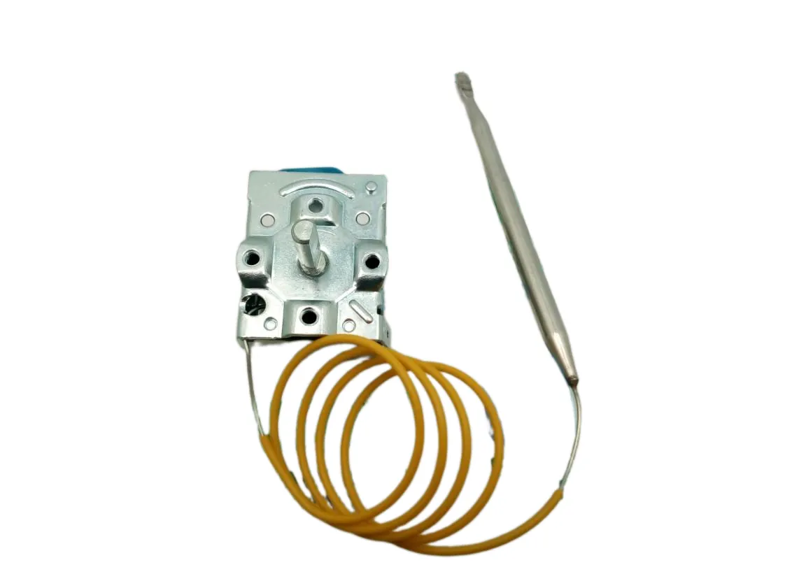 Thermostat Steuerung Regelung Saunier Duval SDN200V Elektro-Warmwasserspeicher, Teilenummer 0020003275