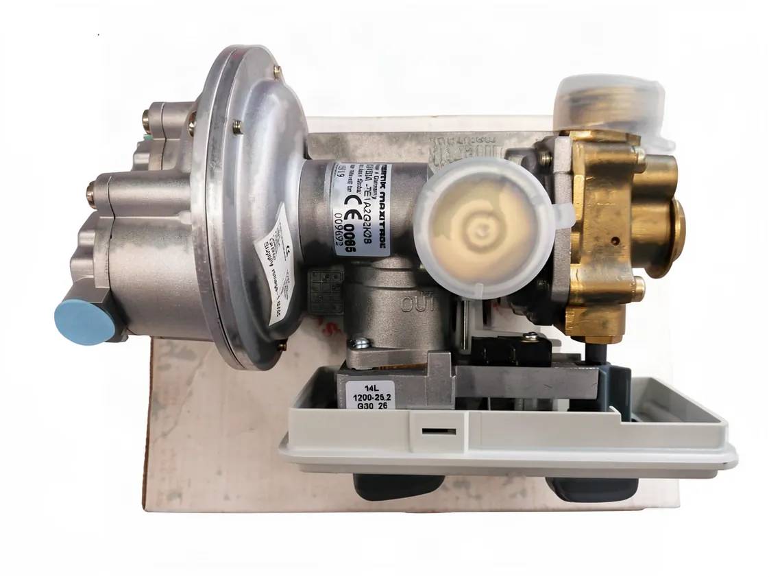 Cuerpo agua gas Immergas Julius 14 Star glp, referencia 1.018330