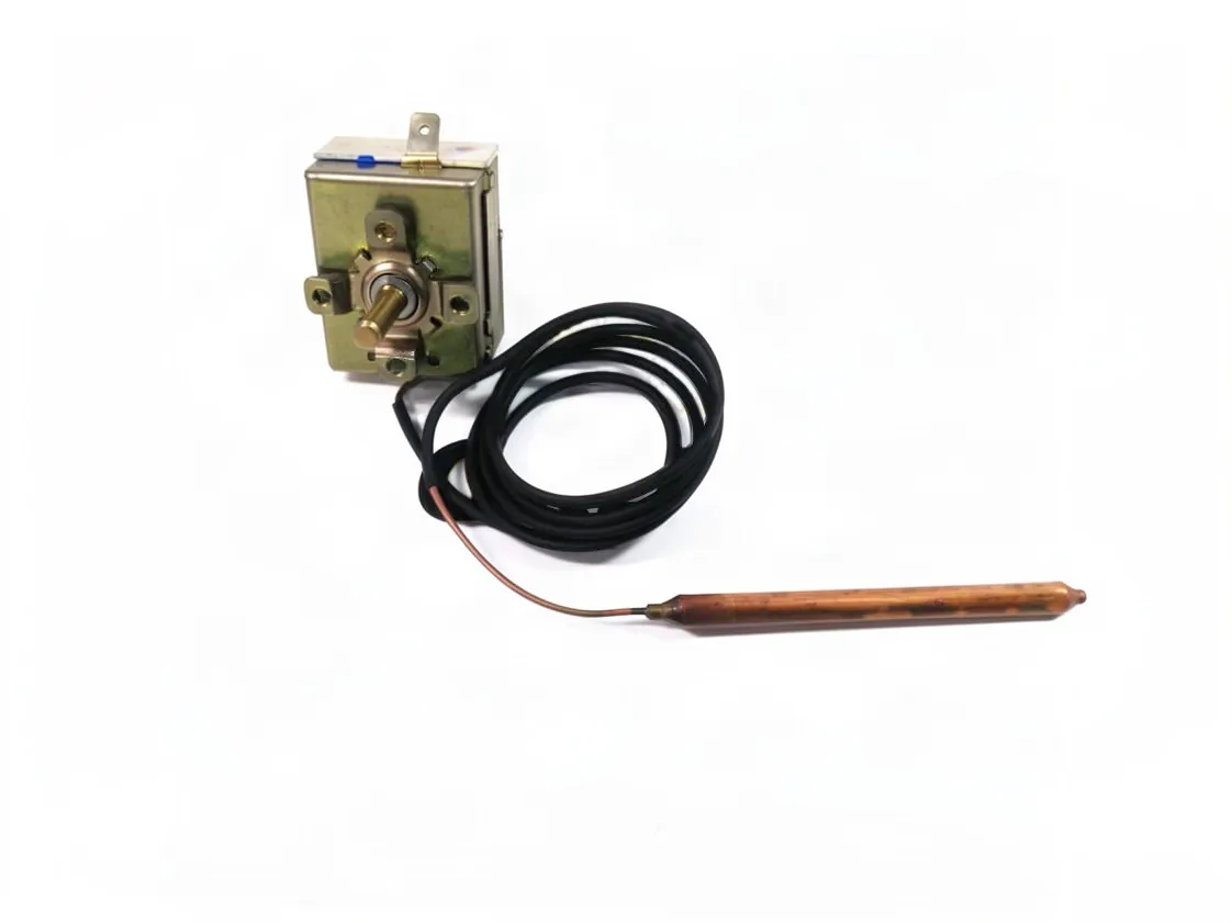 Thermostat Steuerung Regelung 0-080º Immergas Hinteranschluss, Teilenummer 1.4070