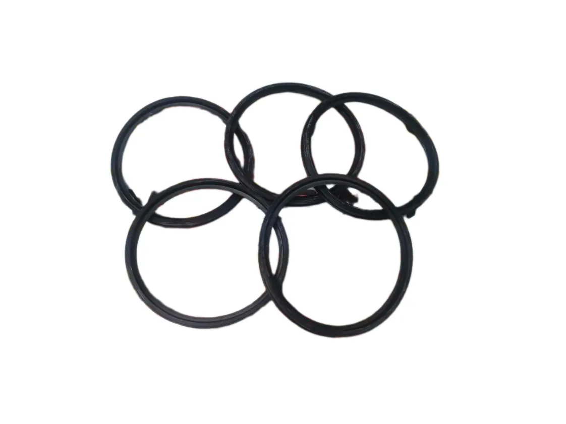 Gasket Immergas isothermic alpha module (Kit 5 pcs), part number 3.031580
