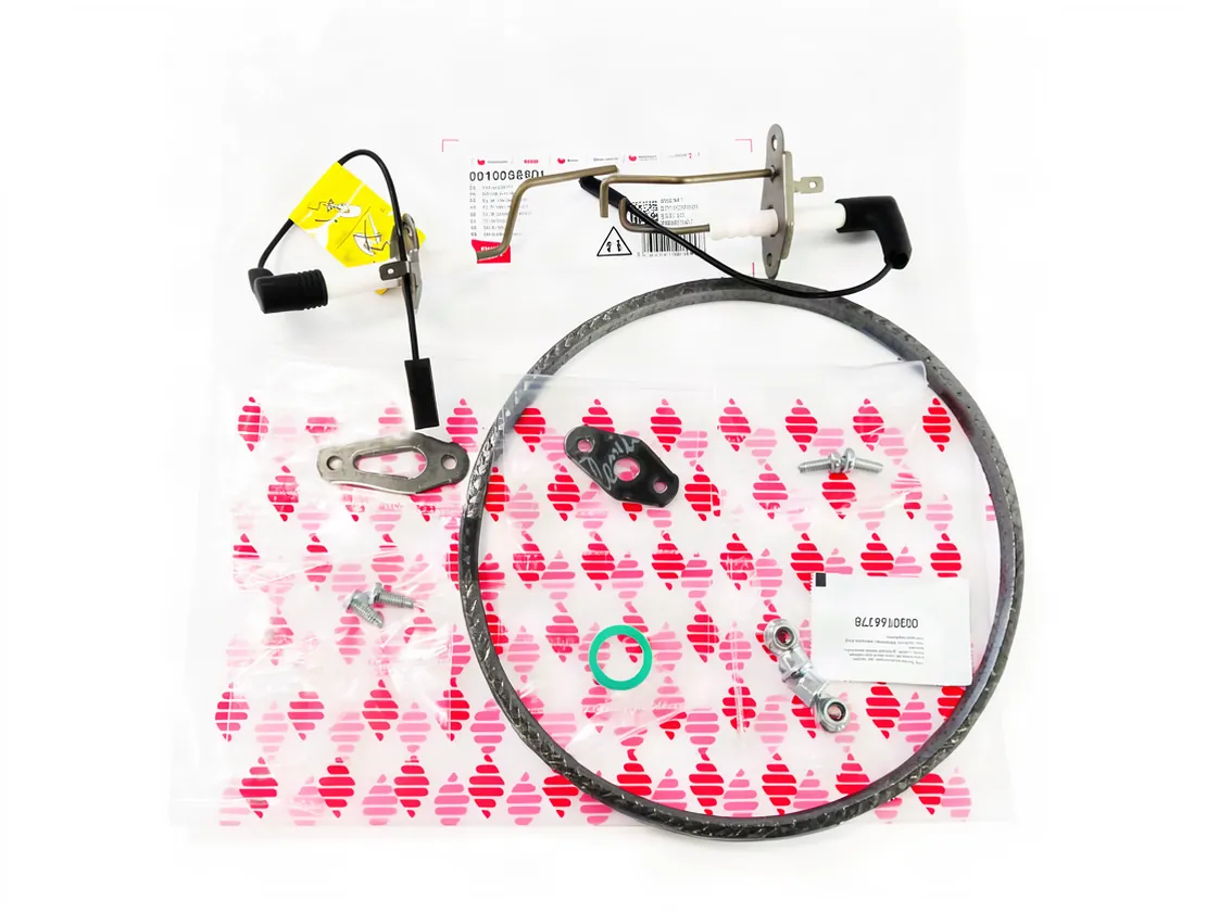 Kit mantenimiento Saunier Thema Condens AS 25, referencia 0010036501