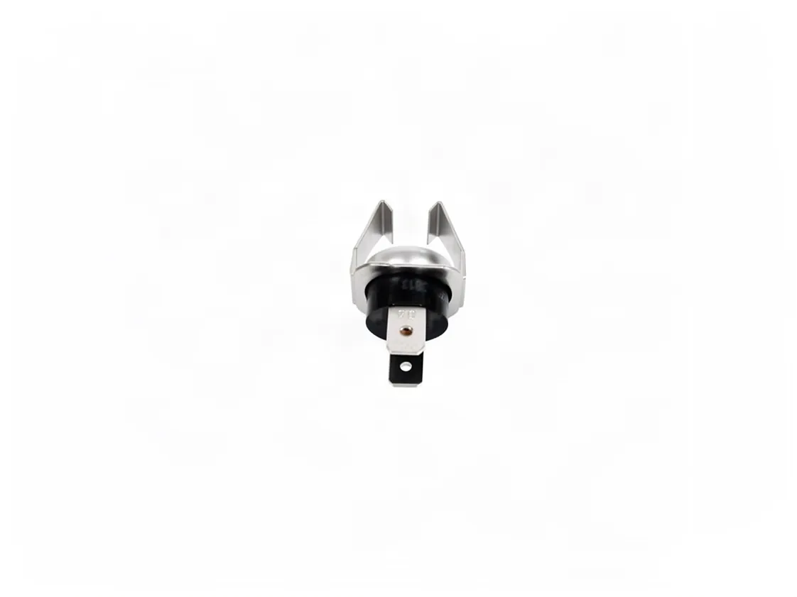 Thermostat de sécurité Beretta Fonte 11-14 AP/AE limite eau, référence B81604