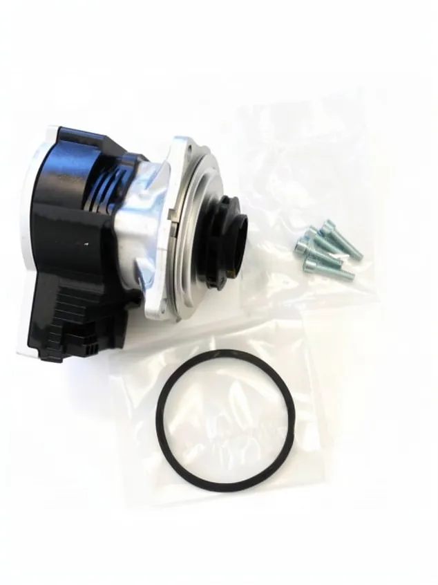 Wasserpumpen-Motor Saunier Duval Semiatek, Teilenummer 0010030688