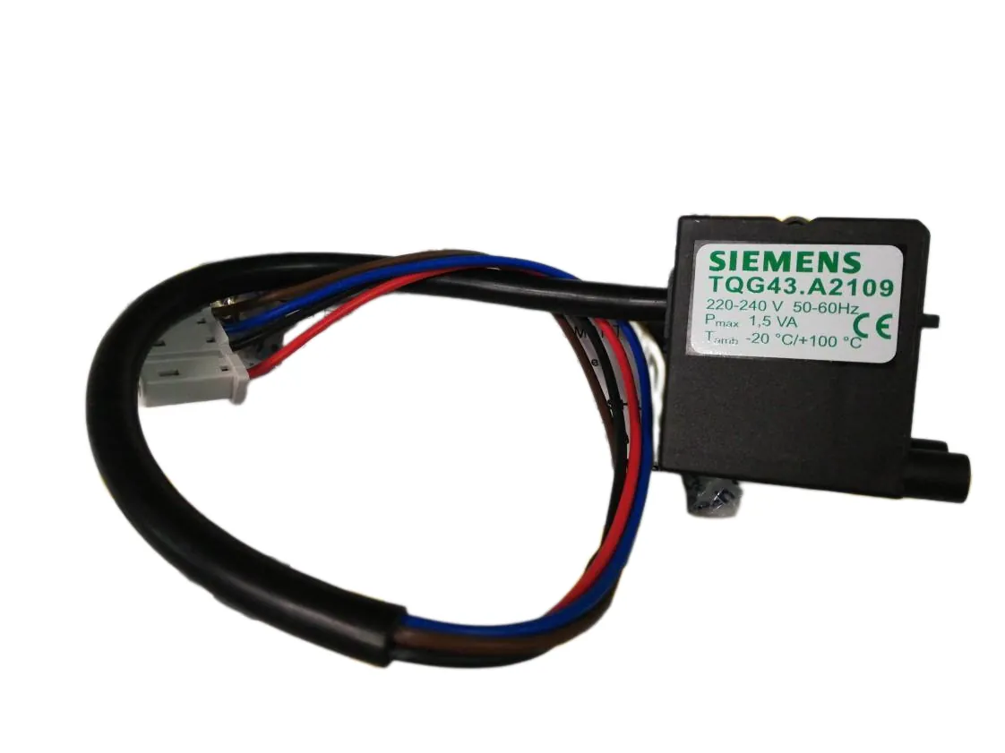 Trasformatore di accensione Intergas HR (Siemens Smart TQG 43) (Valvola gas attuale), codice ricambio 801537