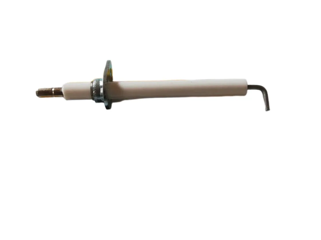 Electrodo Wolf CNG encendido, referencia 279655099