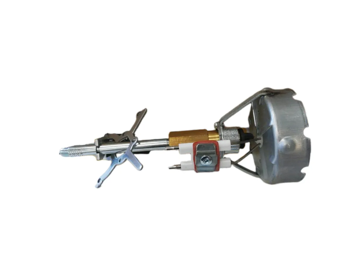 Cabeza combustion Ecoflam MAX 1 incluido disco estabilizador., referencia 65325400