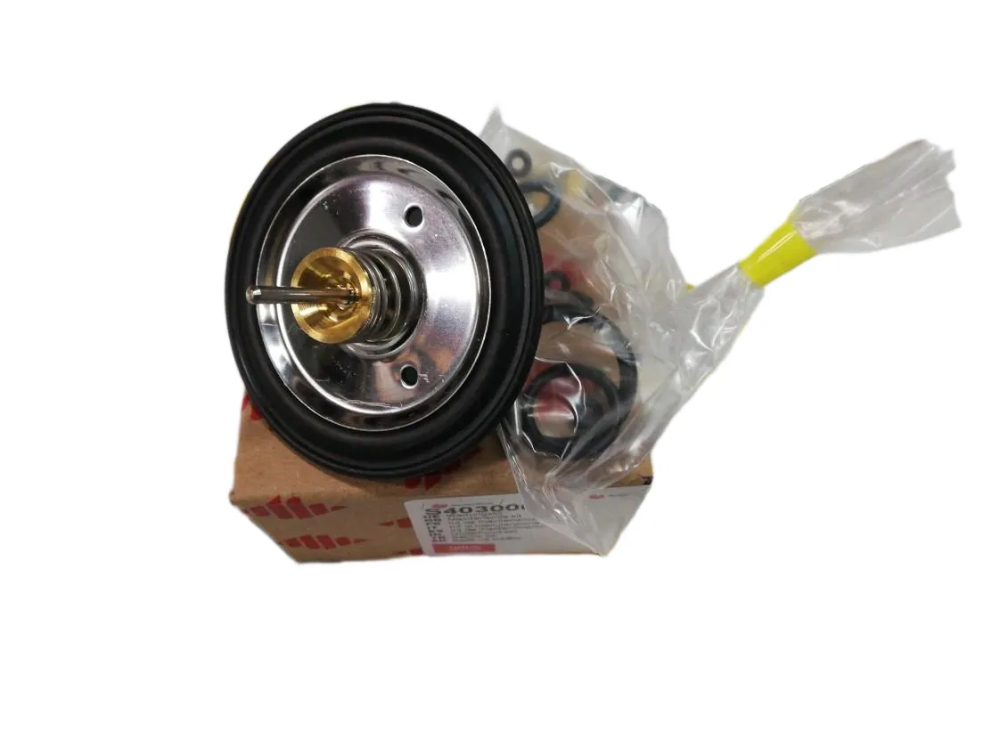Membrana Saunier Duval Thema NOX F24 - Hermann Micra - Supermicra Ecoplus, codice ricambio S403000011