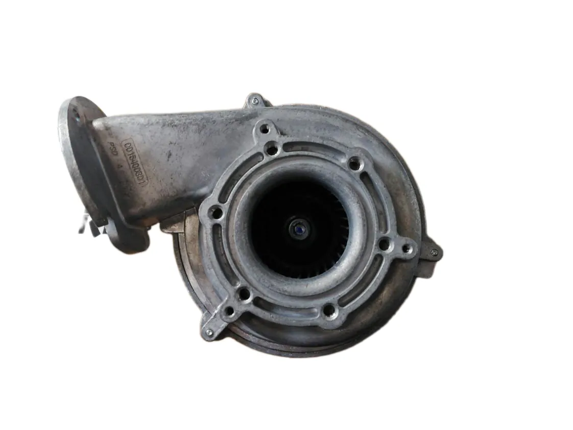 Fan Biasi M300V.2025SM - M300V.2025SV, part number BI1713102