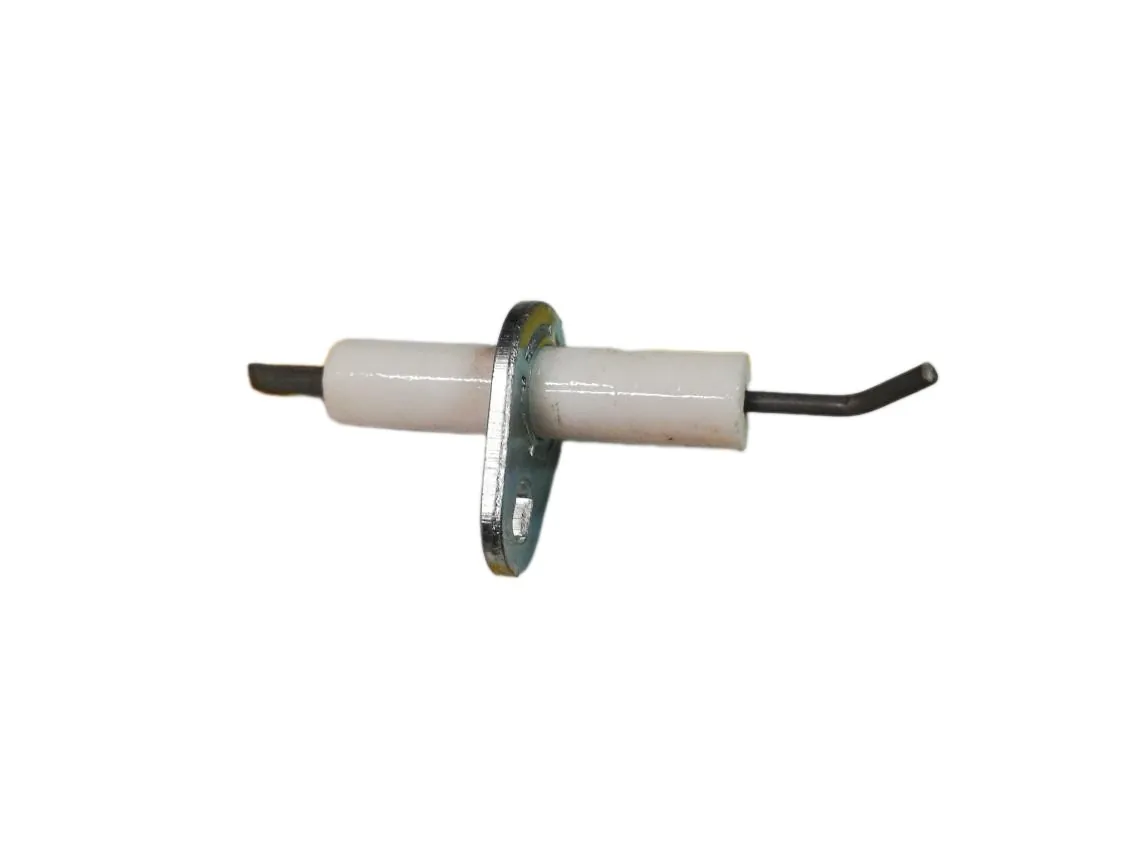 Electrodo Fagor FA20ET/1N - CI100E3N, referencia CA1502700