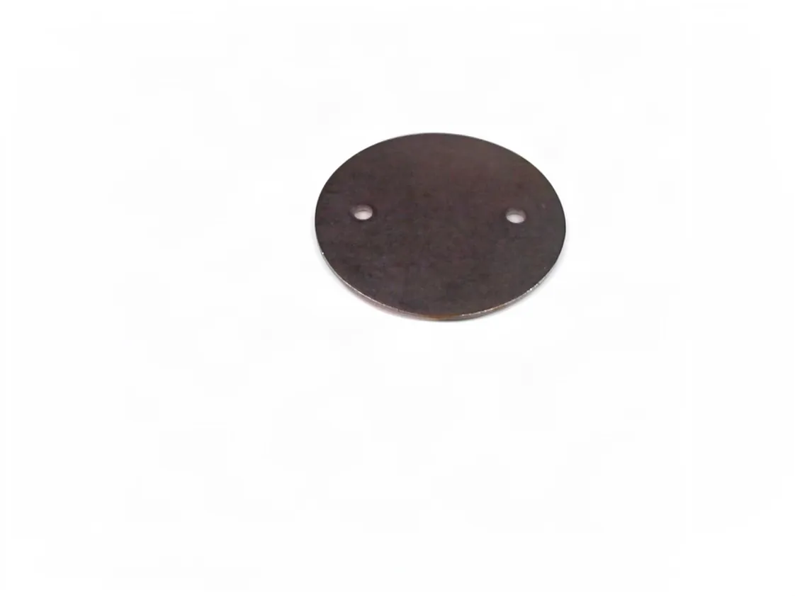 Valve plate Immergas stainless steel membrane, part number 2.2164