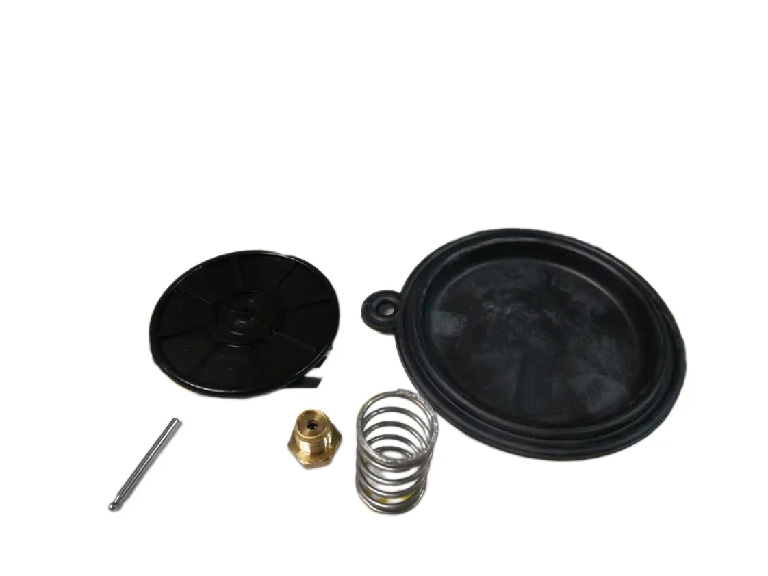 Membrana Chafoteaux Celtic Kit reparación cuerpo agua, referencia 60100605-30