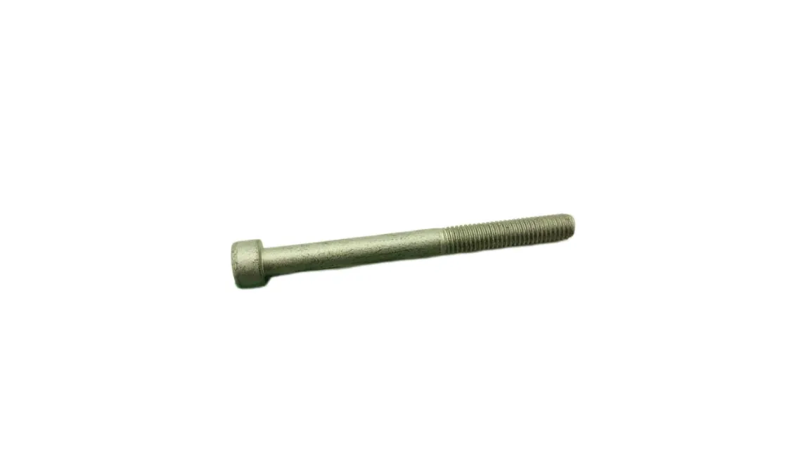 Schraube Immergas M05x55mm, Teilenummer 1.020540