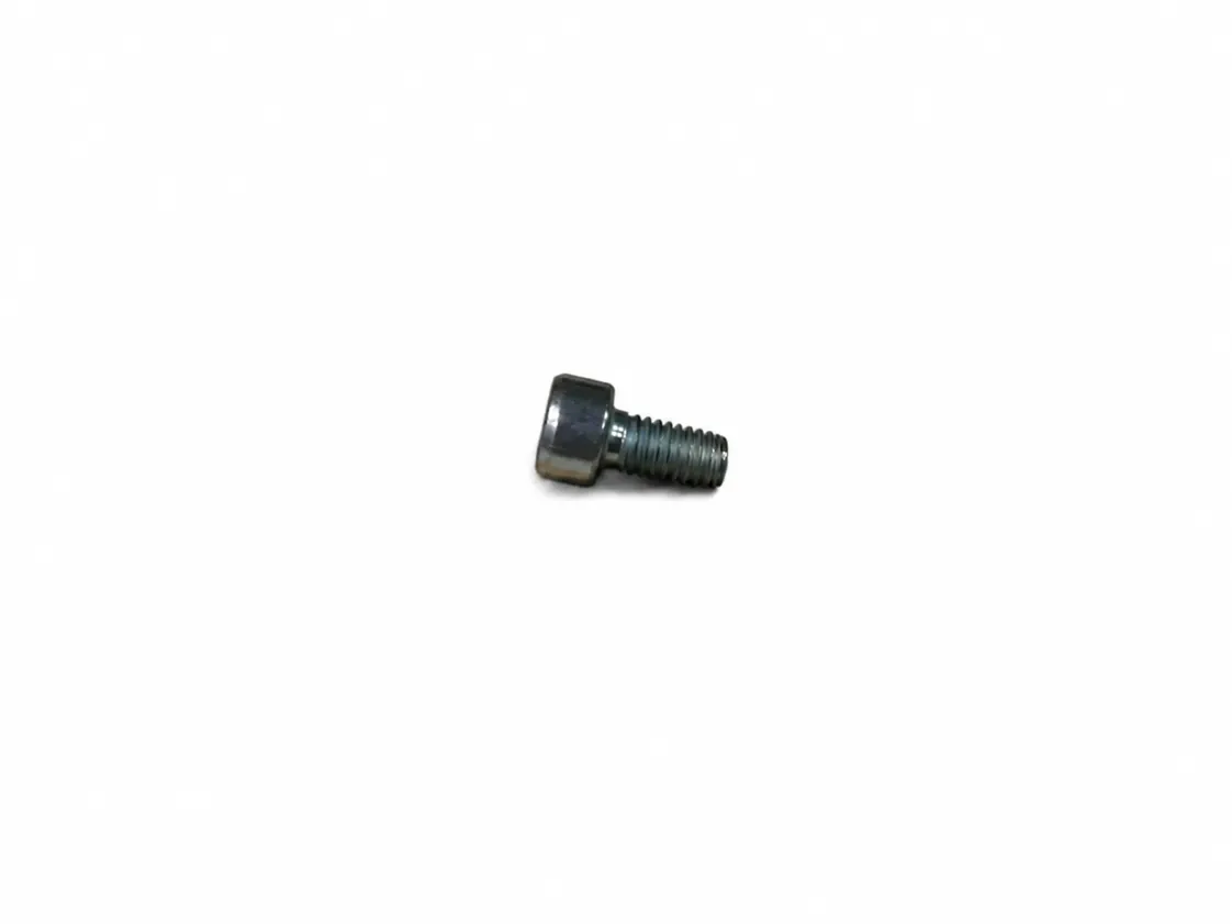 Screw Intergas M04x8mm DIN912, part number 305087