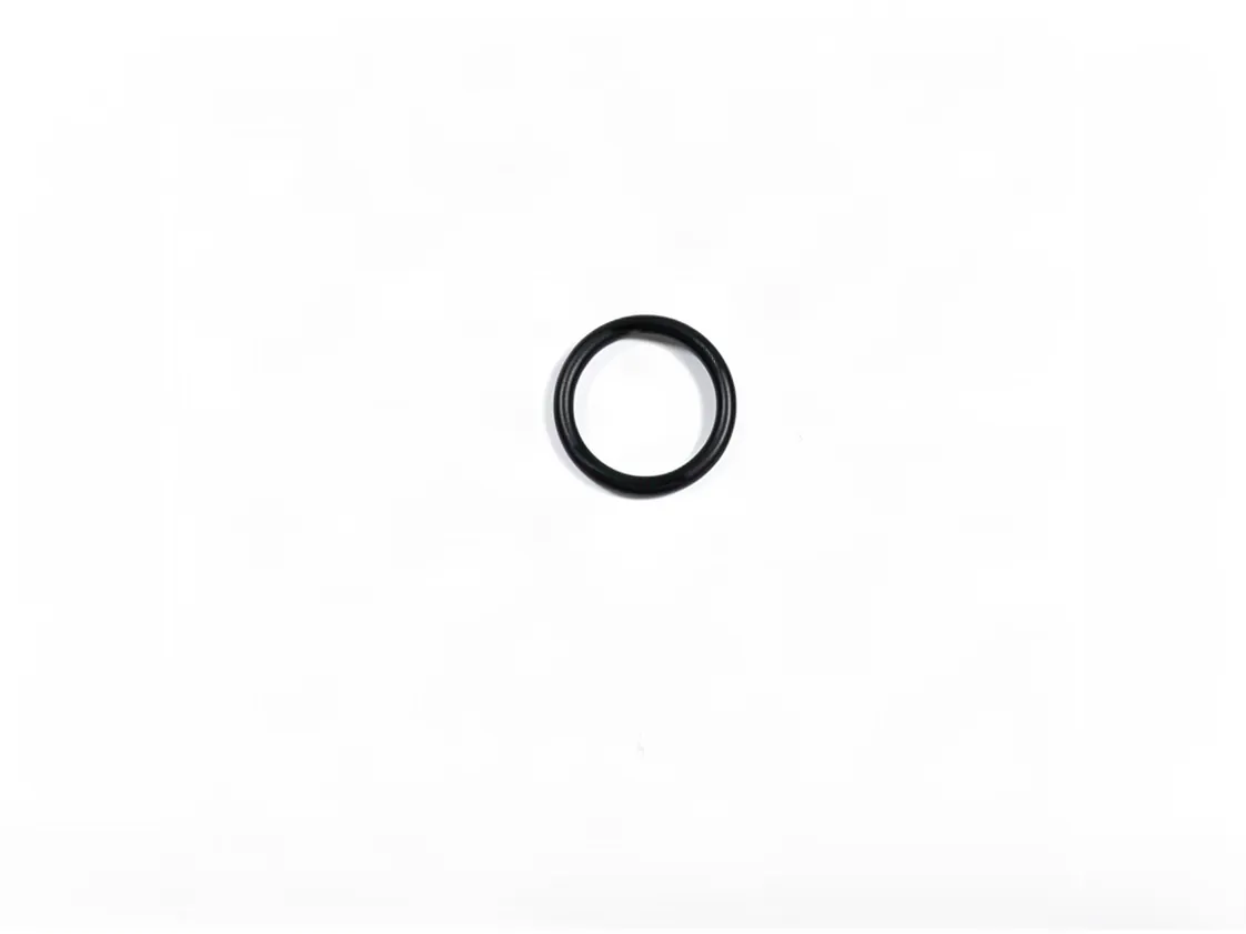 O-Ring Immergas, Teilenummer 3.020984