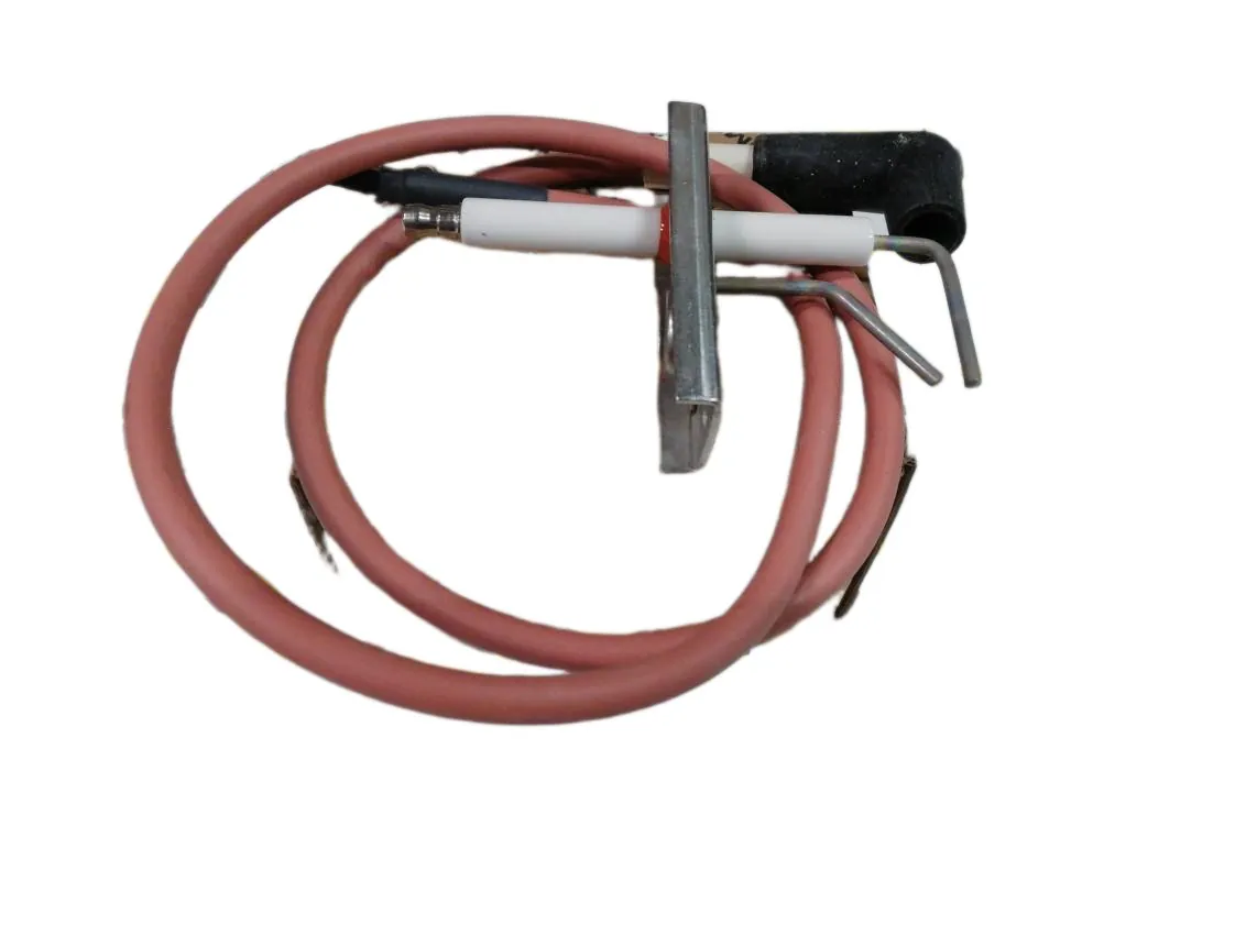 Électrode Immergas Victrix TT - Viictrix Maior TT Ionisation-allumage + joint, référence 3.029945