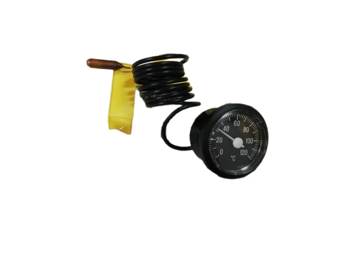Termometro Beretta Exclusive 20T, codice ricambio R4441